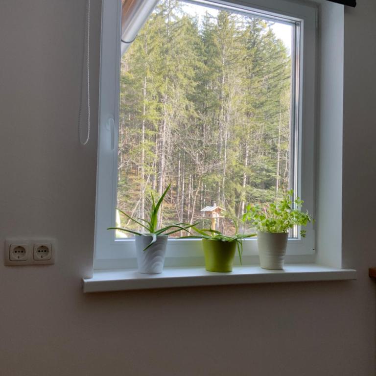 Apartments Traun-haft - Apartamento - 4