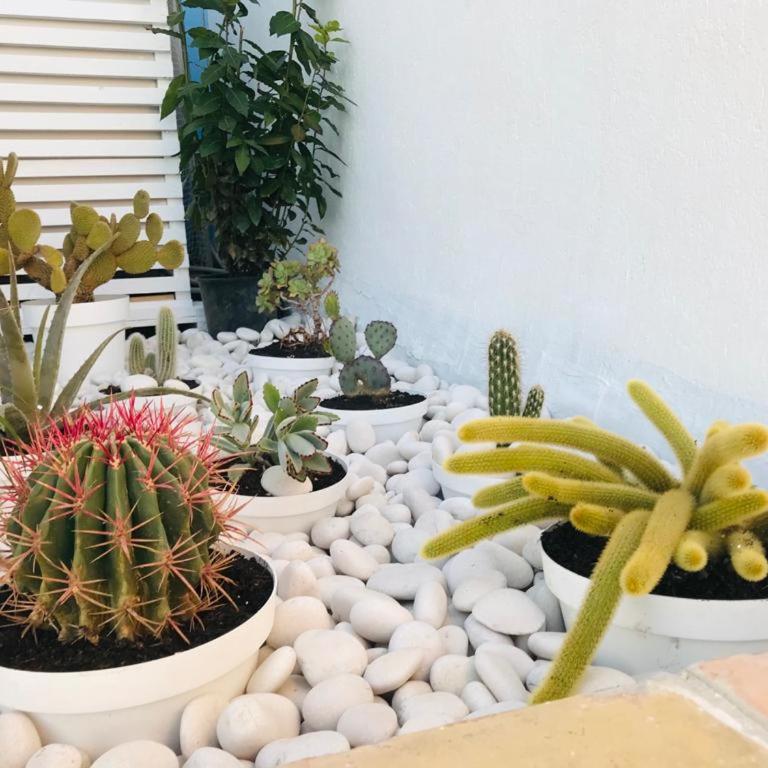 La casa del pescatore - Two-Bedroom Apartment - 10
