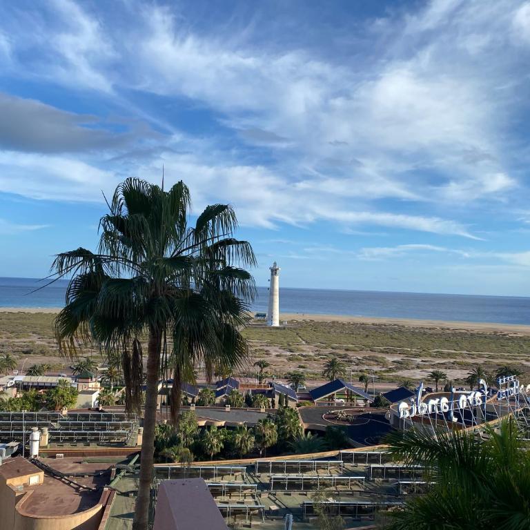 Balcon de Jandia Tipo A - Apartamento Deluxe de 1 dormitorio con vistas al océano - 7