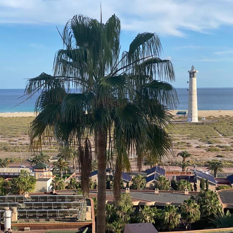 Balcon de Jandia Tipo A - Apartamento Deluxe de 1 dormitorio con vistas al océano - 6