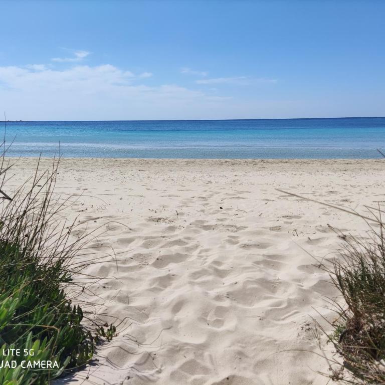Petrarussa Superior di Porto Cesareo - Villa con Vista Giardino - 48