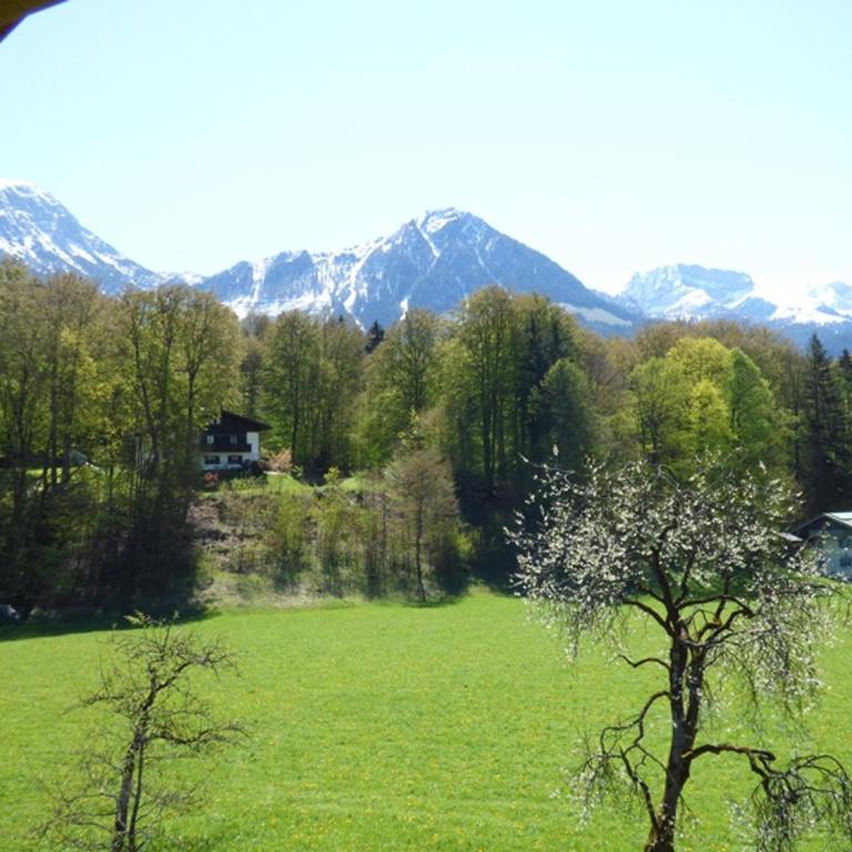 Kierngaßlehen - Apartamento con vistas a las montañas - 5