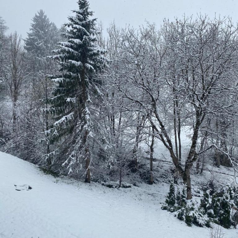 Ferienwohnung Oberallgäu Ferienpark mit Schwimmbad - One-Bedroom Apartment 7 - 9
