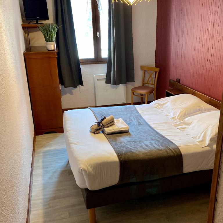 Hôtel des Alpes - Chambre Double - 1