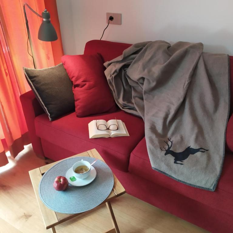 Apartments Ban Guggugg - One-Bedroom Apartment - 10