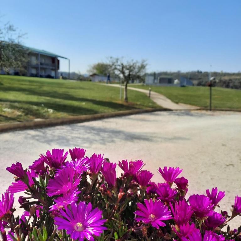 Villaggio Esmera - Appartamento con 2 Camere da Letto - 5