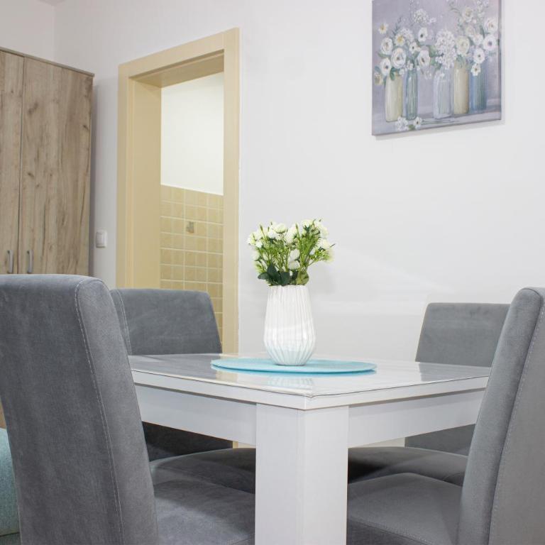 Sweet Home Vrnjačka Banja - Apartman sa 1 Spavaćom Sobom - 9