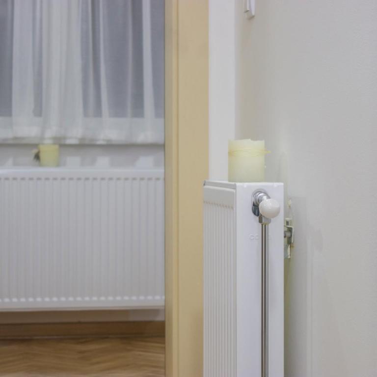 Sweet Home Vrnjačka Banja - Apartman sa 1 Spavaćom Sobom - 13