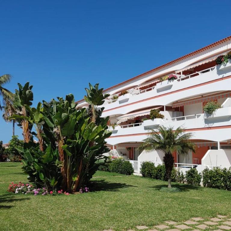 Apartamentos Vista Laurisilva - Apartamento de 1 dormitorio - 18