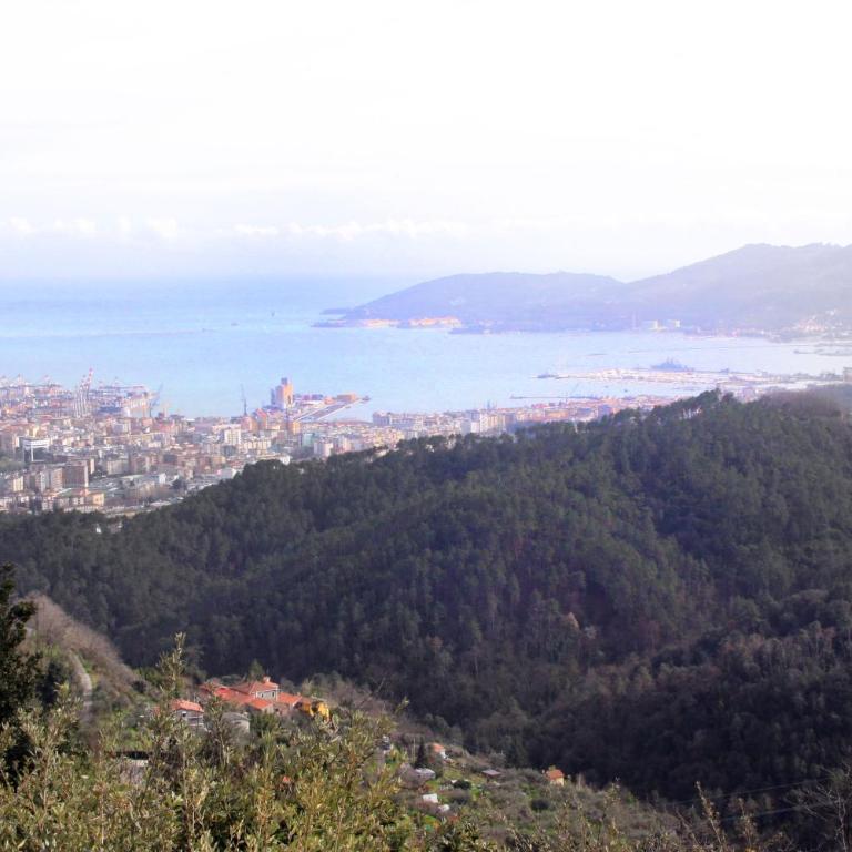 Affittacamere Ciccio e Pinolo - Camera Matrimoniale/Doppia con Letti Singoli con Vista Mare - 7