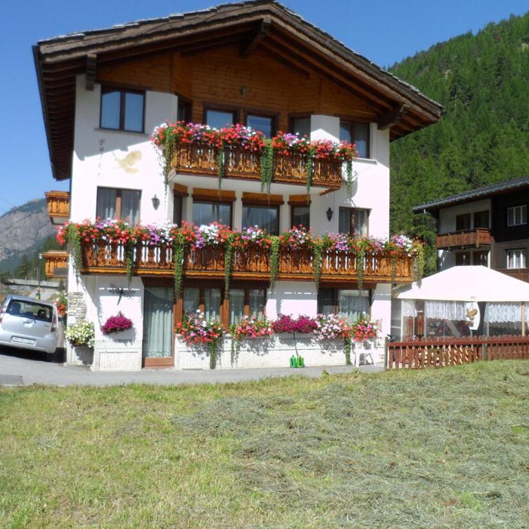 Haus Falke - Apartment - 1