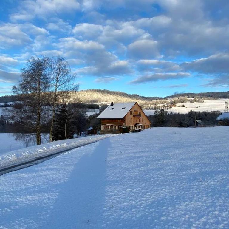Gîte cosy, au calme entre Genève et Annecy - Appartement 1 Chambre - 15