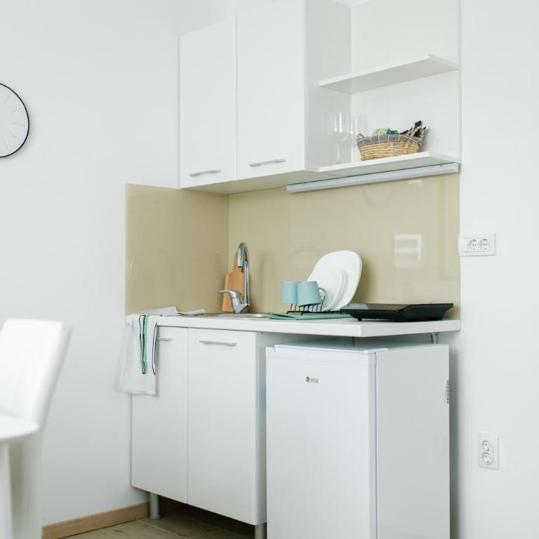Apartmani Veselinović - Apartman sa 1 Spavaćom Sobom - 6
