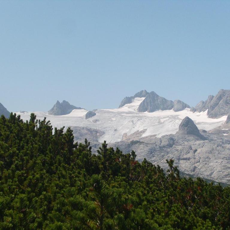 Privatpension Gosaukammblick - Doppelzimmer - 2