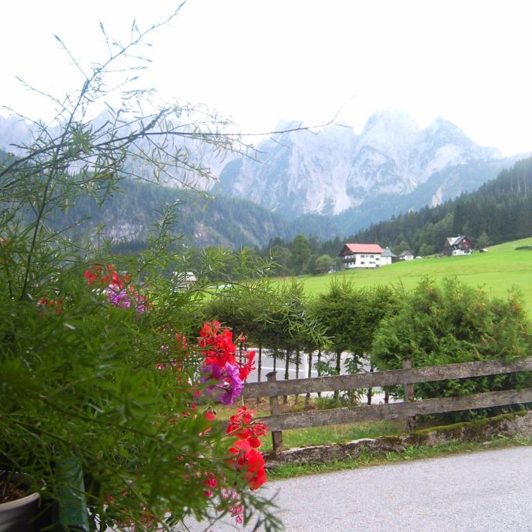 Privatpension Gosaukammblick - Doppelzimmer - 13