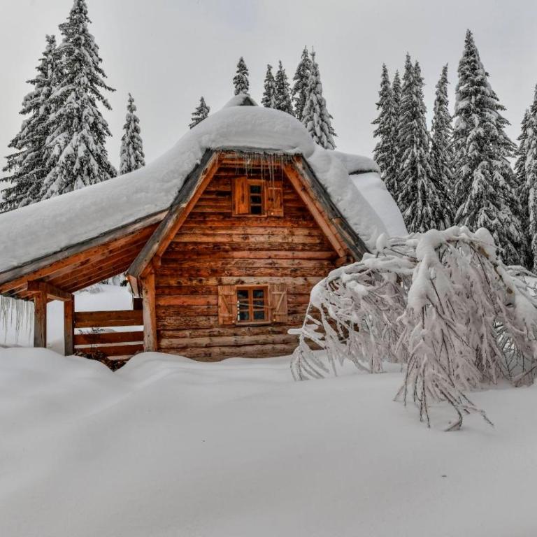Lodge Nadgora - Deluxe Double or Twin Room with Mountain View - 5