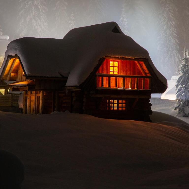 Lodge Nadgora - Three-Bedroom Villa - 1