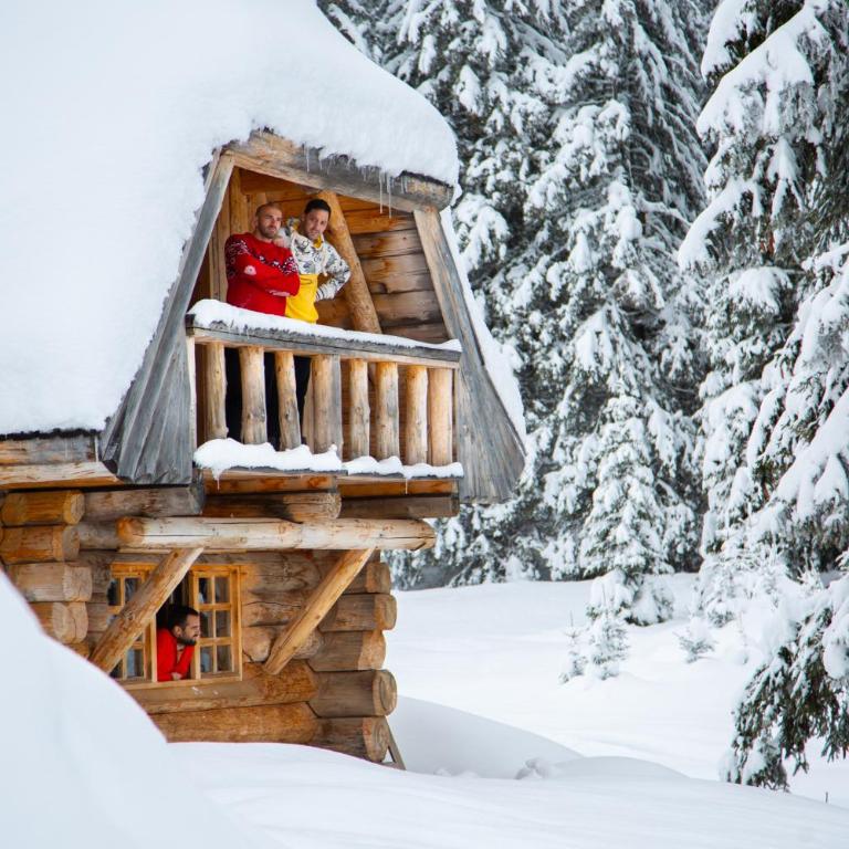 Lodge Nadgora - Three-Bedroom Villa - 2