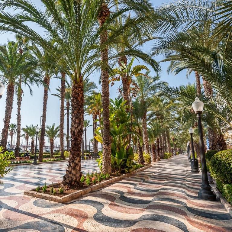 House with sea view in the old town of Alicante - Two-Bedroom House - 54