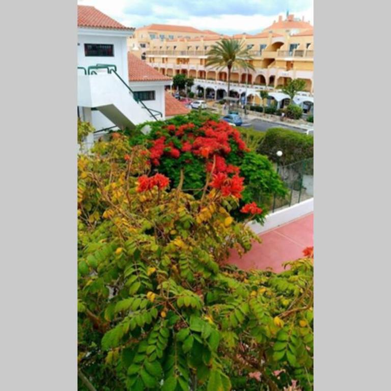 Surycan, beautiful apartment in maspalomas - Apartamento de 1 dormitorio - 39