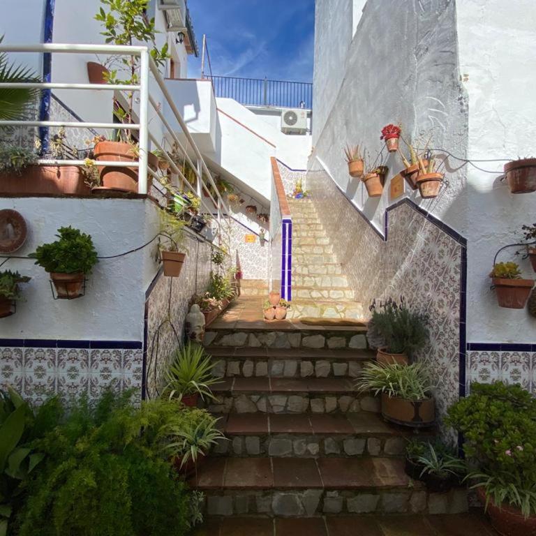 Buddhalounge Apartments - Apartamento de 2 dormitorios - 50