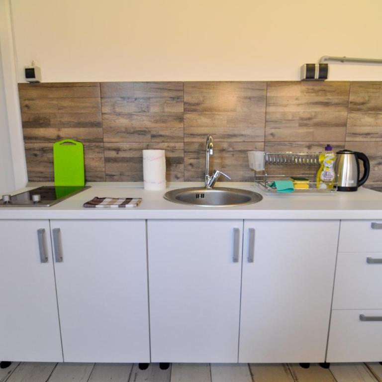 Altitude Loft - One-Bedroom Apartment - 25