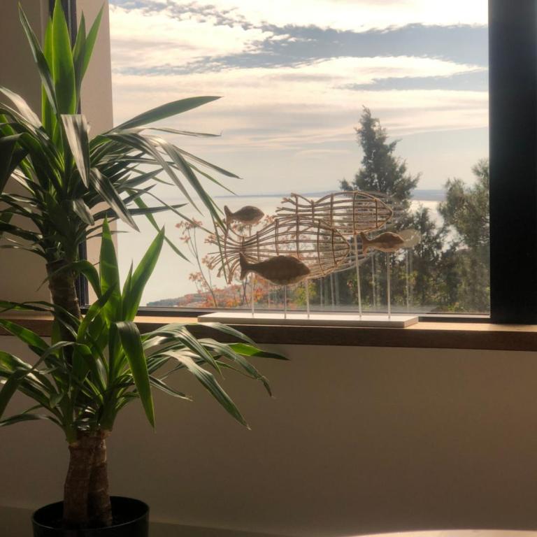Les Mégalithes - Appartement - Vue sur Mer - 2