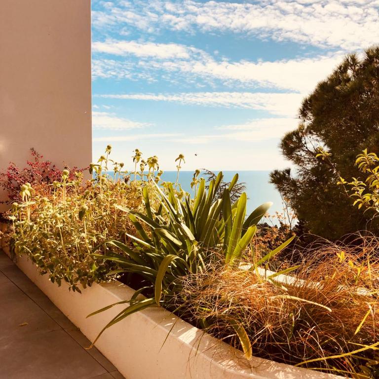 Les Mégalithes - Appartement - Vue sur Mer - 12