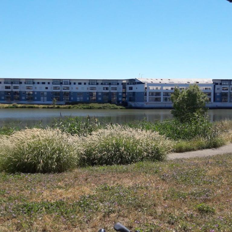 Terrasse sur le lac - Chambre Double - 2
