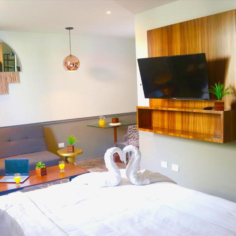 Singular Joy Vacation Rentals - Deluxe Queen Studio - 10
