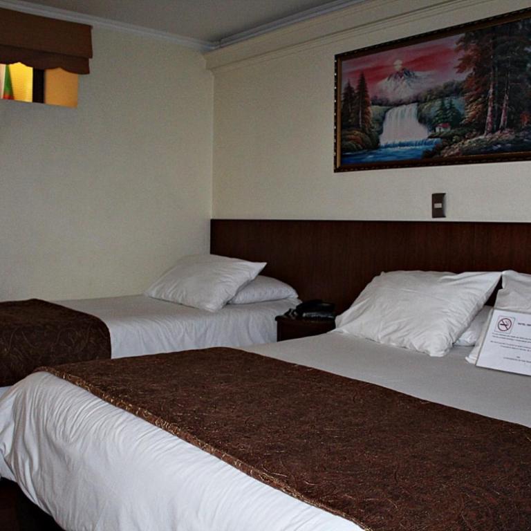 Hotel Newen - Habitación Doble - 2 camas - 14