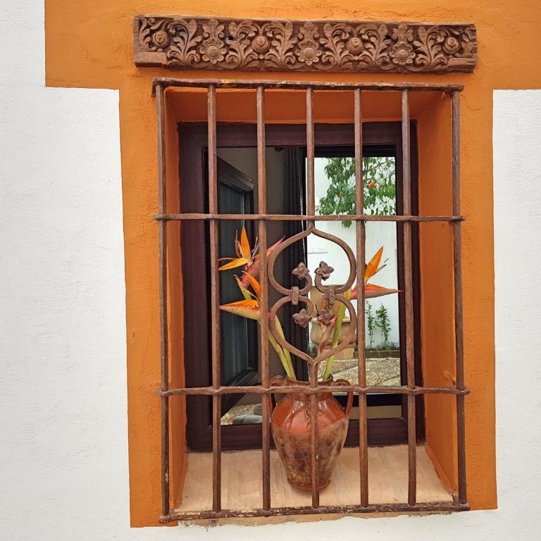 Riad Mezquita de Cordoba - Suite con vistas al jardín - 26