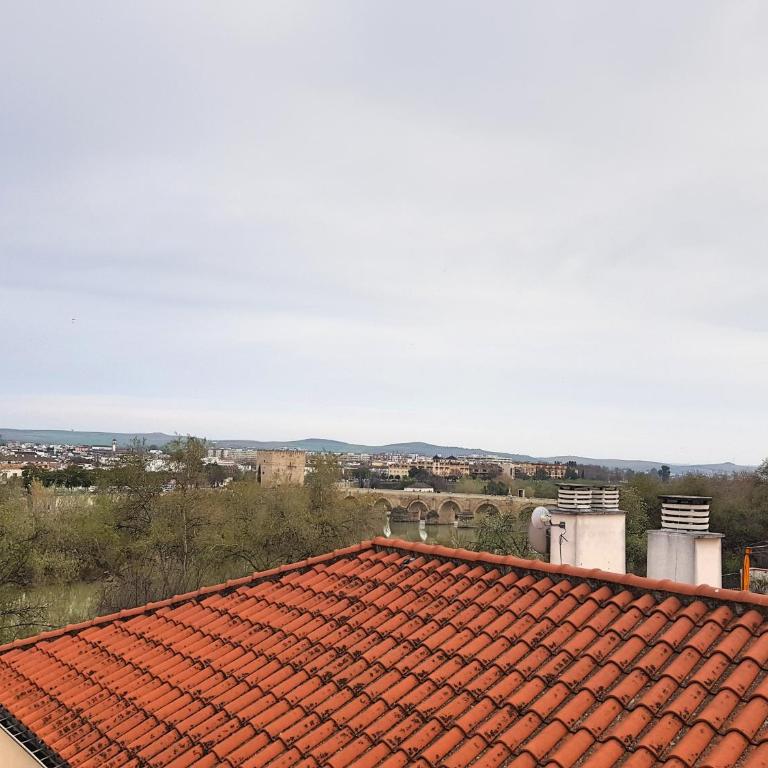 Riad Mezquita de Cordoba - Suite con terraza - 25