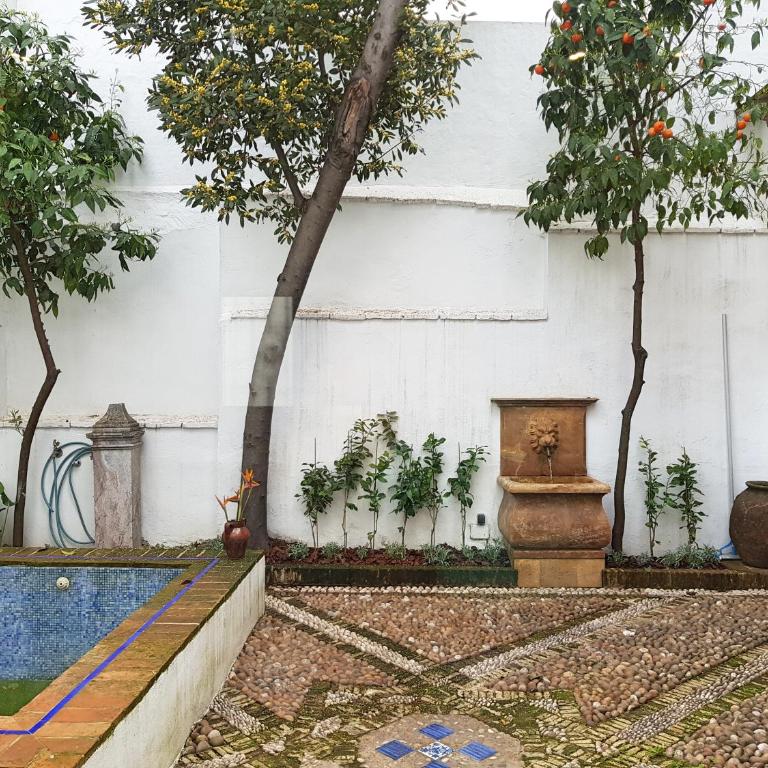 Riad Mezquita de Cordoba - Suite con vistas al jardín - 14