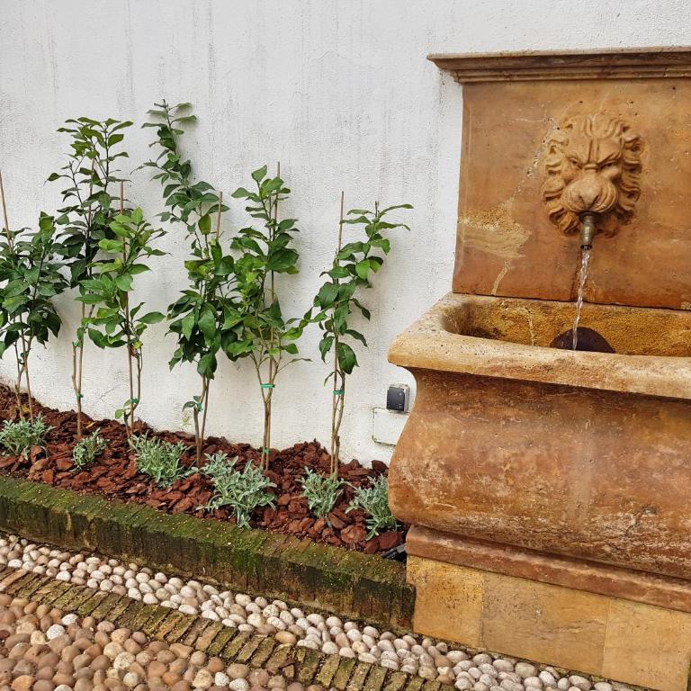 Riad Mezquita de Cordoba - Suite con vistas al jardín - 16