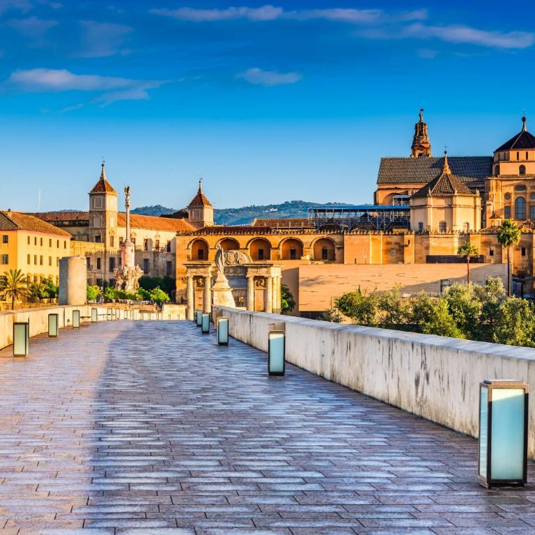 Riad Mezquita de Cordoba - Suite con vistas al jardín - 28