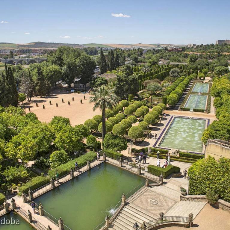 Riad Mezquita de Cordoba - Suite con vistas al jardín - 38