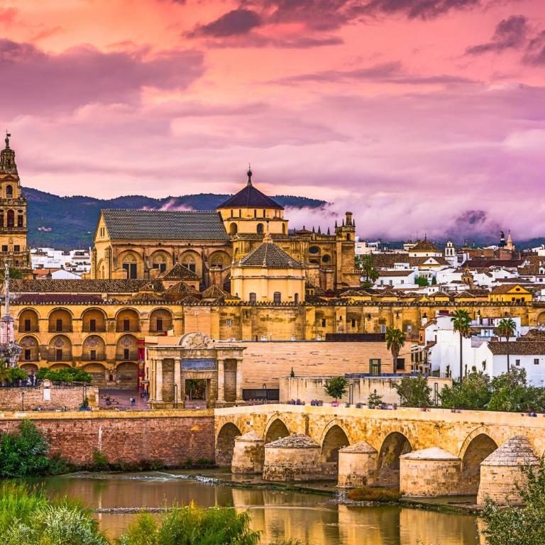 Riad Mezquita de Cordoba - Suite con vistas al jardín - 29