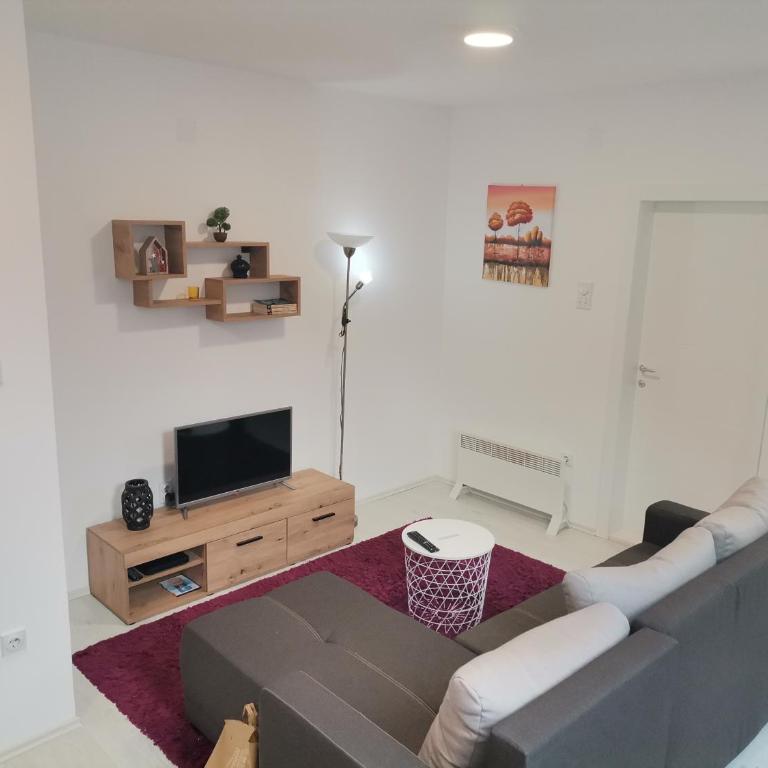 Apartman ST.Nedeljkovic Sokobanja - Porodični Studio - 2