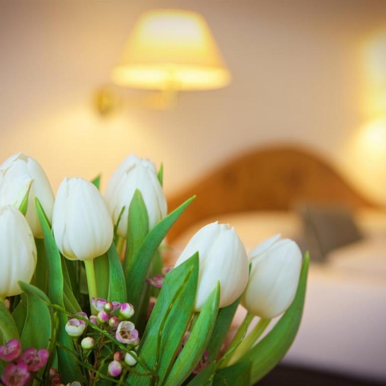 Concordia Vitalhotel & SPA - Einzelzimmer - 1