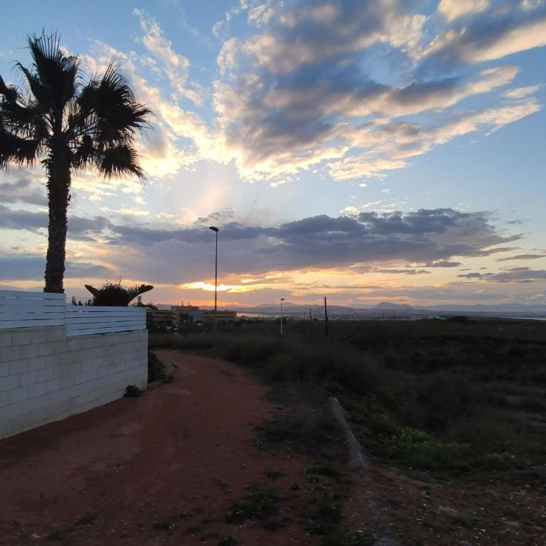Apartamento Torre Zeus, La Mata, Torrevieja - Apartamento de 2 dormitorios - 44