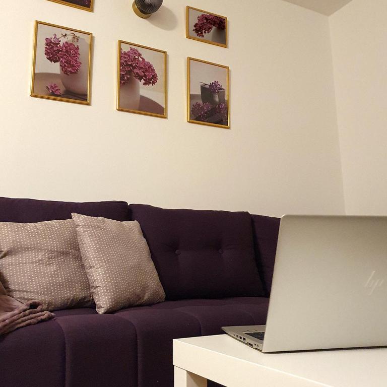LILAC Apartment - One-Bedroom Apartment - 3
