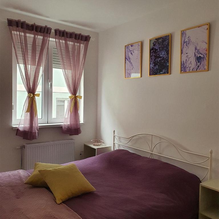 LILAC Apartment - One-Bedroom Apartment - 8