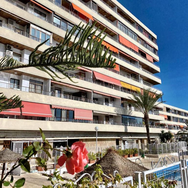 Nogalera 110 City central 3 seasonal pools with bar - One-Bedroom Apartment - 2