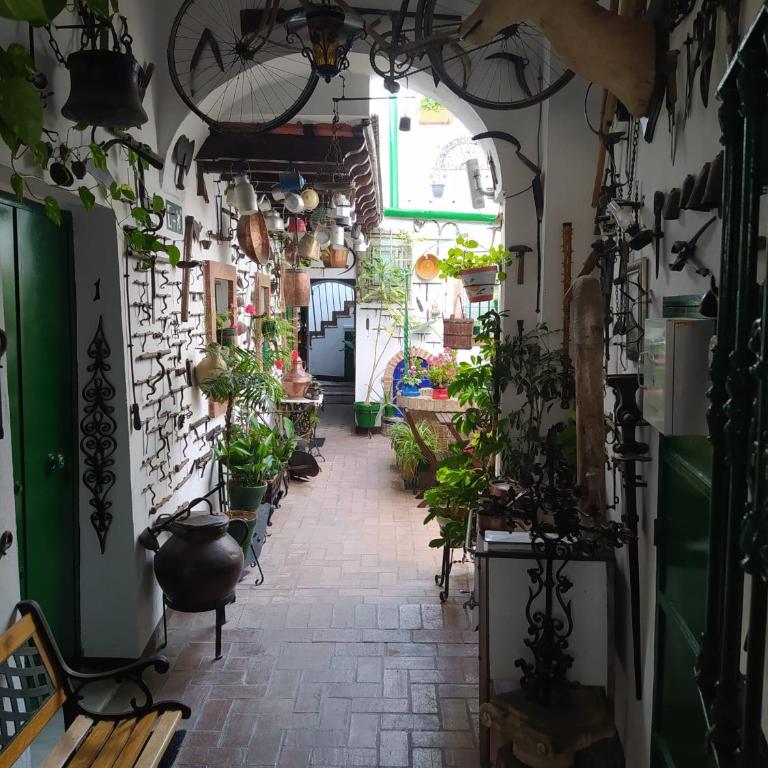 Casa Museo Jerez Centro - Apartamento de 1 dormitorio - 39