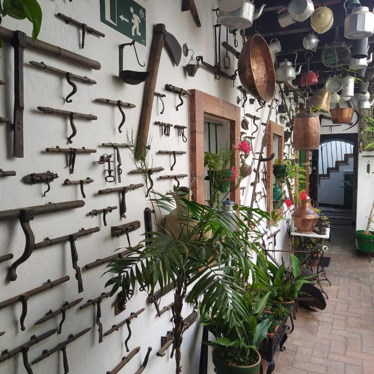 Casa Museo Jerez Centro - Apartamento de 1 dormitorio - 33