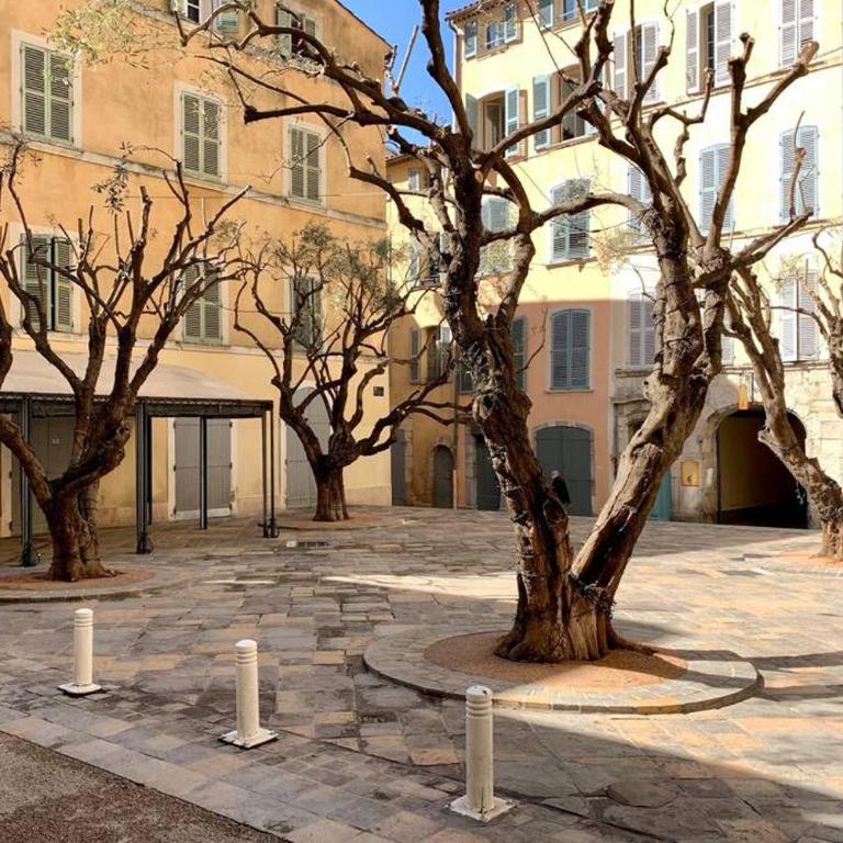 Bel appartement 4 étoiles Centre Historique Toulon - Appartamento con 2 Camere da Letto - 35