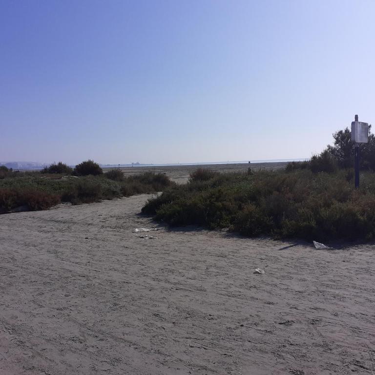 Apartamento Santa Pola, en Playa del Tamarit con piscina. - Apartamento de 2 dormitorios - 46