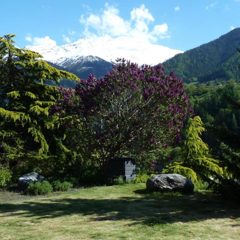 Matapouri - Apartment mit Blick auf die Berge - 10