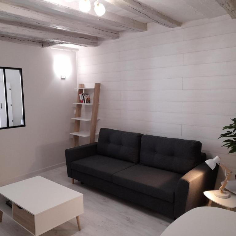Le cosy d'Amboise - One-Bedroom Apartment - 4